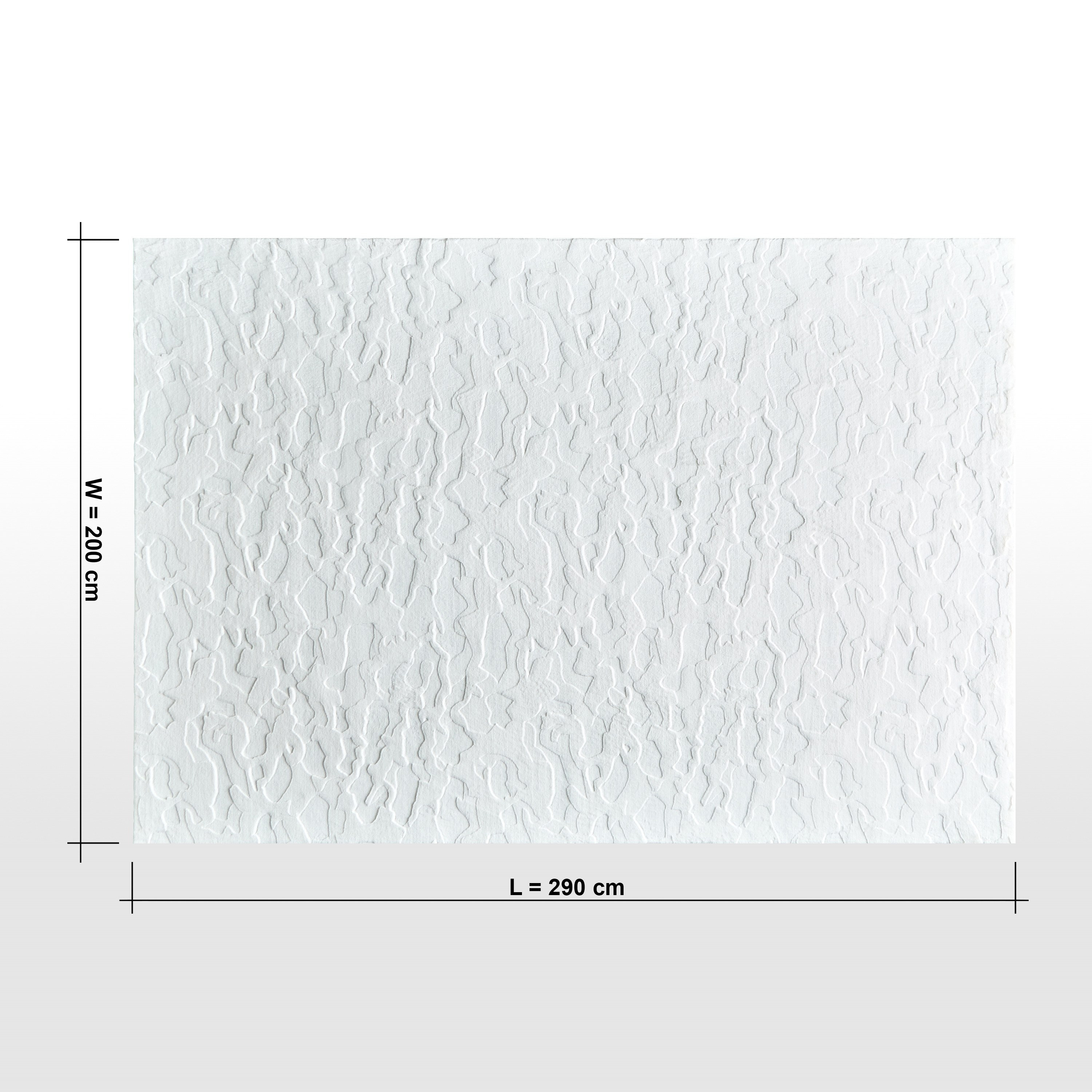 سجادة كثيفة - فريدا - 200x290 سم-household-rugsandcarpets-rugs-image-7