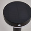 Bellhop Solar/USB Rechargeable Motion Sensor Pathway Light - 70 cm-household-lighting-decorativelighting-noveltylights-image-9