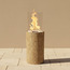 Dacee Cement Fire Pit-PROMO_HC_SA_TESTBINPROMO_080926-image-1