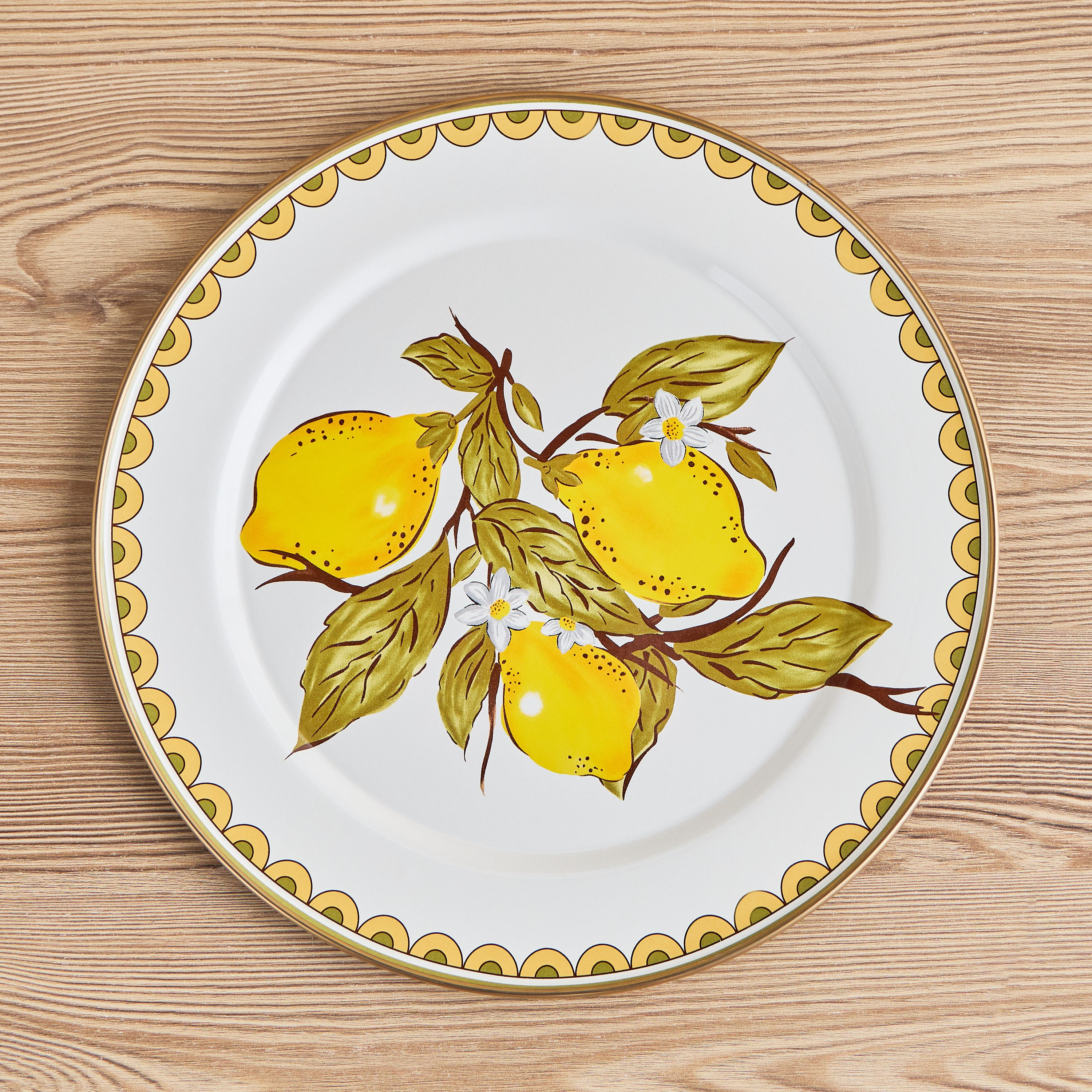 Amico Enamel Coated Carbon Steel Dinner Plate - 30 cm-household-dining-dinnerware-plates-image-1