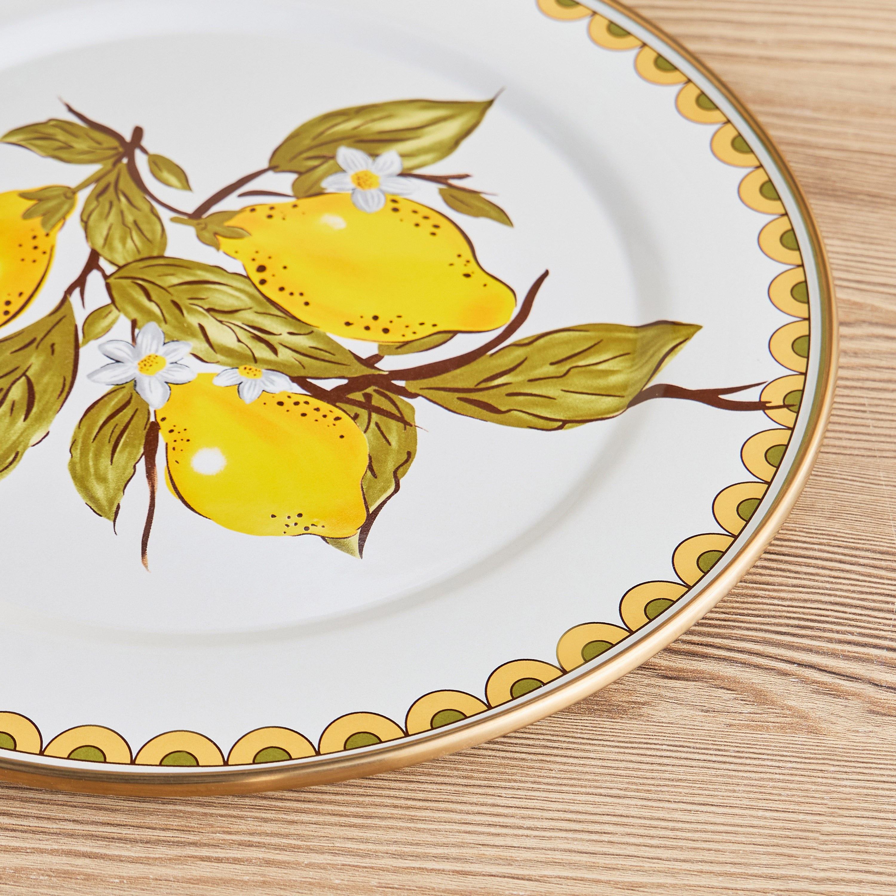 Amico Enamel Coated Carbon Steel Dinner Plate - 30 cm-household-dining-dinnerware-plates-image-2