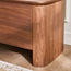 وحدة تلفزيون - ريانا-furniture-livingroom-tvandmediaunits-image-3