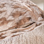 غطاء وسادة محشوة هيرينجبون - جيوليانا - 30×50 سم-binpromo_KSA_Alrajhi_17062026-image-2