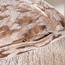 وسادة محشوة مضغوطة - جيليانا هيرينبون - 30x50 سم-household-cushionsandthrows-filledcushions-decorativecushions-image-2