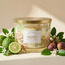 Ambience Garden Bergamot and Wild Fig Scented Jar Candle - 25 h-household-homefragrance-candles-image-1