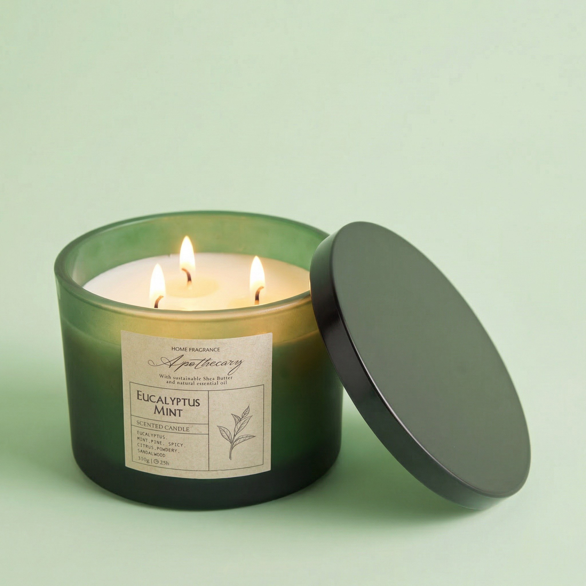 Ambience Aromatherapy Eucalyptus Mint Scented Jar Candle - 25 h-household-homefragrance-candles-image-2