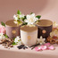 جرة شمعة معطرة فانيلا نوار - إمبينس  - 25 ساعة-household-homefragrance-candles-image-1