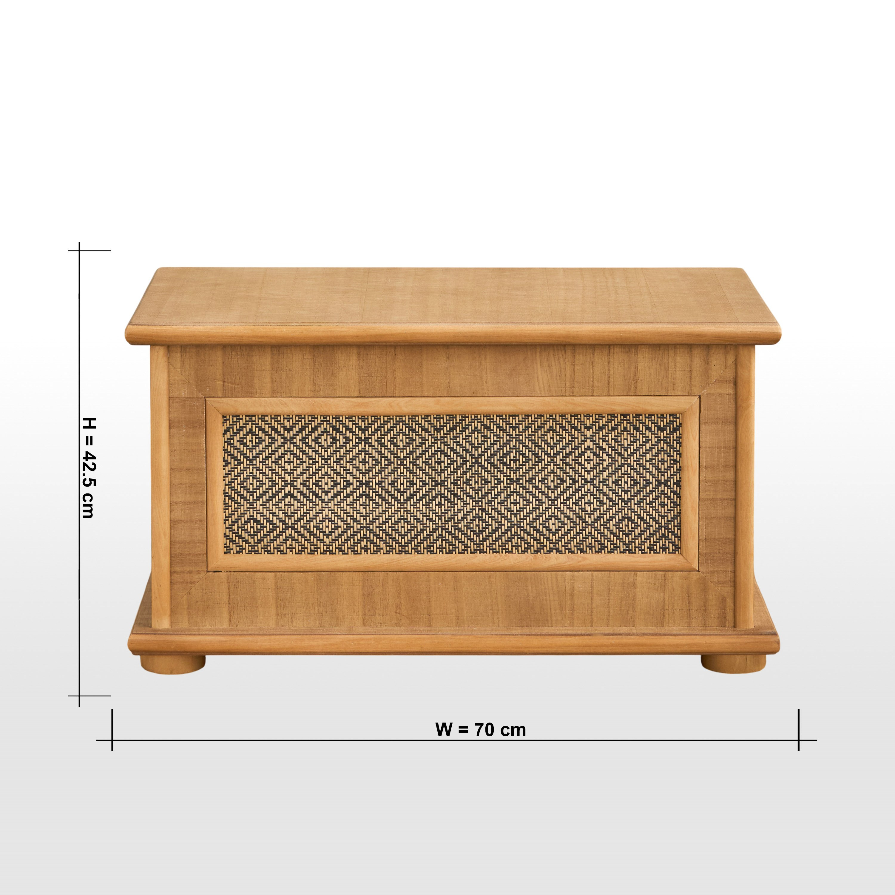 Samuel Large Storage Trunk - 70x40x42 cm-household-storage-storagesolutions-trunks-image-7