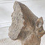 تمثال ديكور - دارا-household-decor-decorativeobjectsandsculptures-image-3