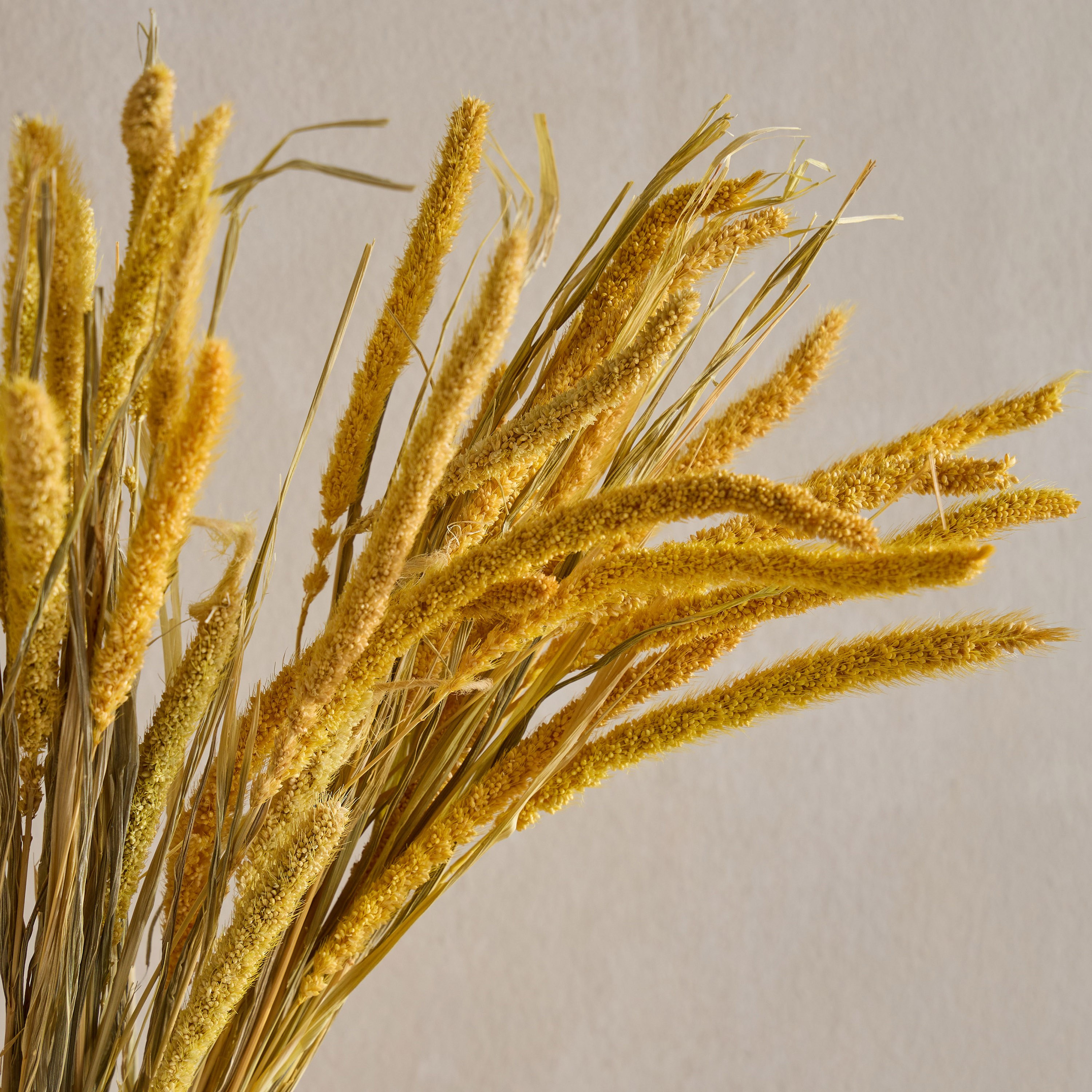 Fox Tail Pampas Bouquet - 50 cm-household-gardenandoutdoor-artificialflowersandplants-bundlesandbouquets-image-2