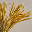 Fox Tail Pampas Bouquet - 50 cm-household-gardenandoutdoor-artificialflowersandplants-bundlesandbouquets-image-2
