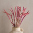 Fox Tail Pampas Decorative Bouquet - 50 cm-household-gardenandoutdoor-artificialflowersandplants-bundlesandbouquets-image-1
