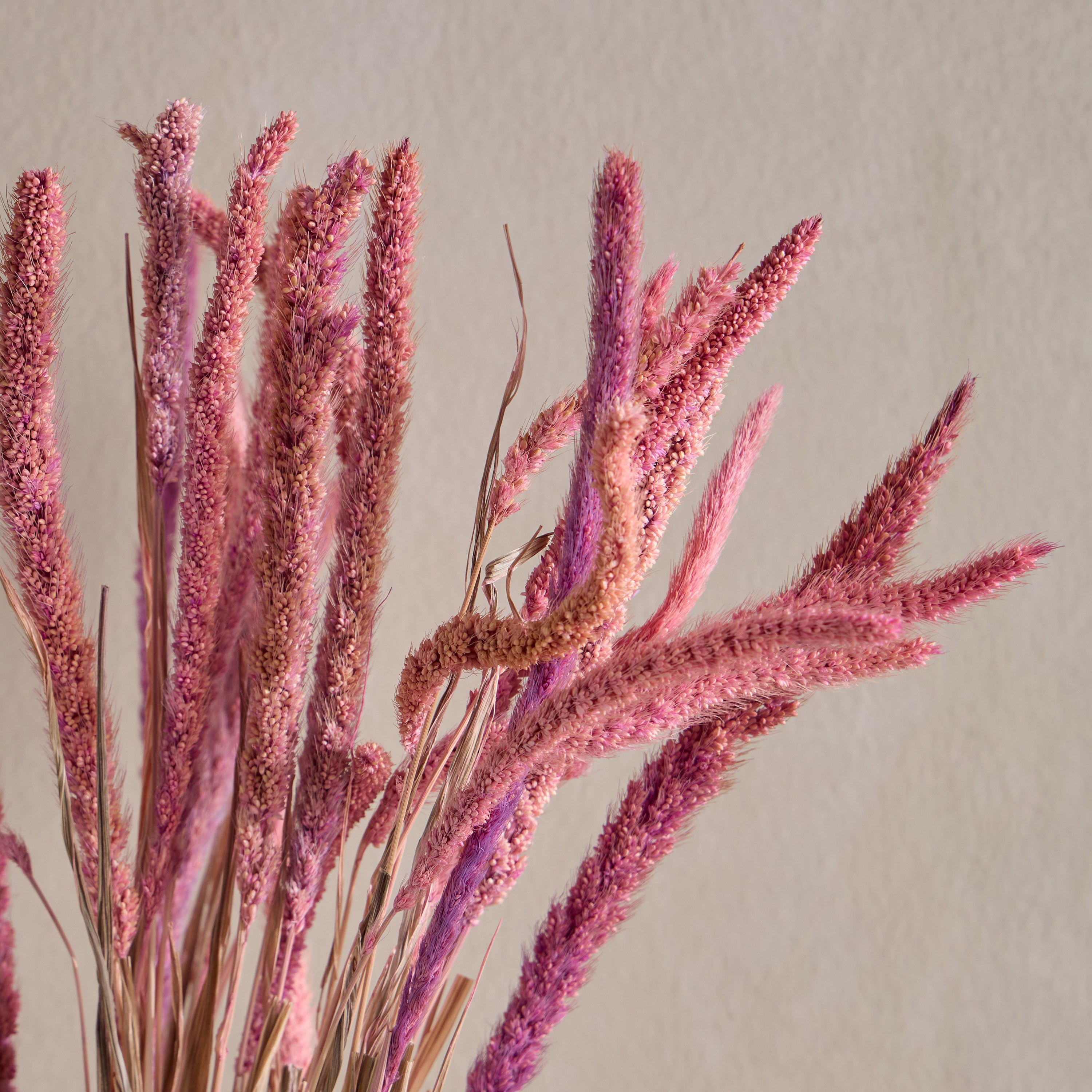 Fox Tail Pampas Decorative Bouquet - 50 cm-household-gardenandoutdoor-artificialflowersandplants-bundlesandbouquets-image-2