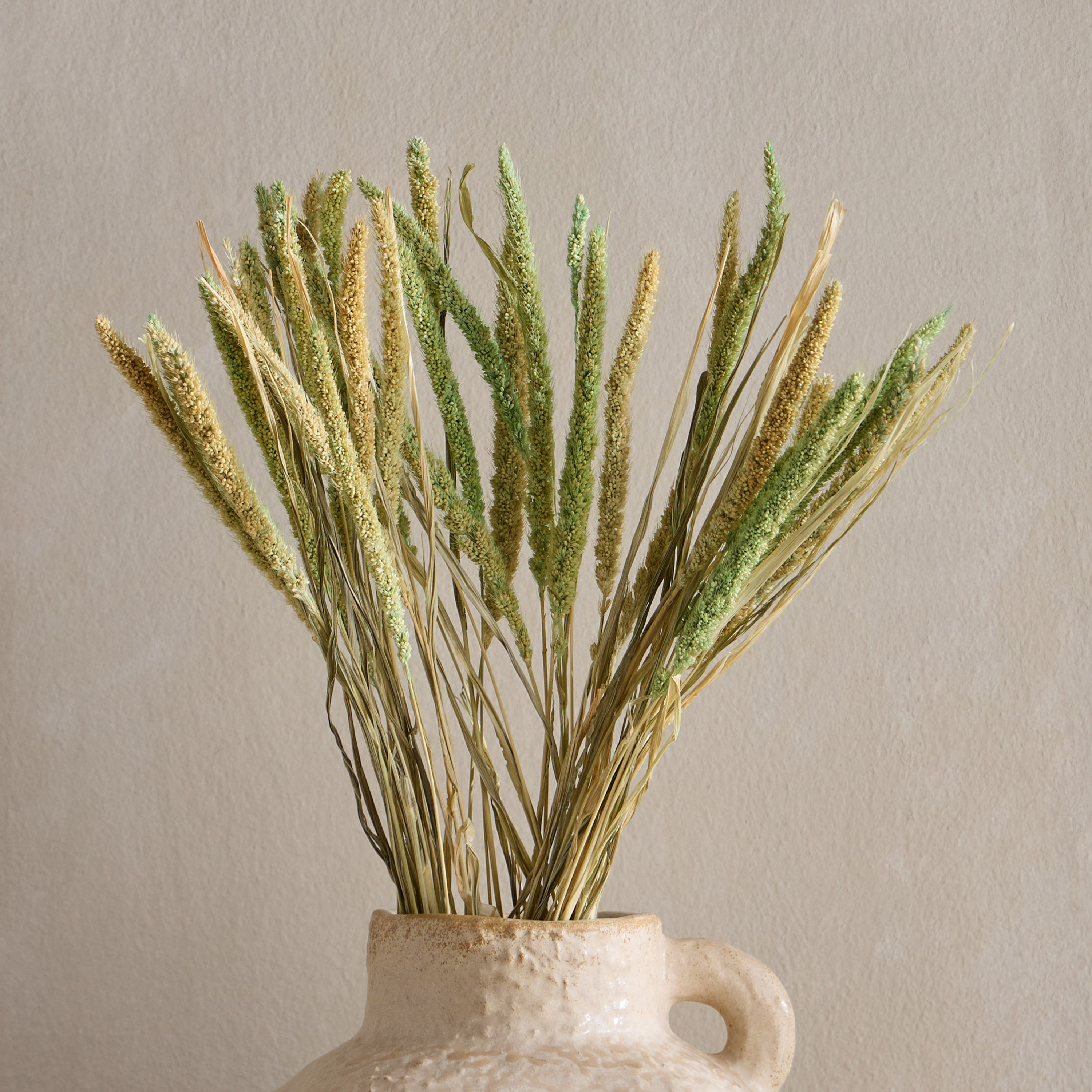 Fox Tail Pampas Decorative Bouquet - 50 cm-household-gardenandoutdoor-artificialflowersandplants-bundlesandbouquets-image-1