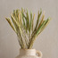 Fox Tail Pampas Decorative Bouquet - 50 cm-household-gardenandoutdoor-artificialflowersandplants-bundlesandbouquets-image-1