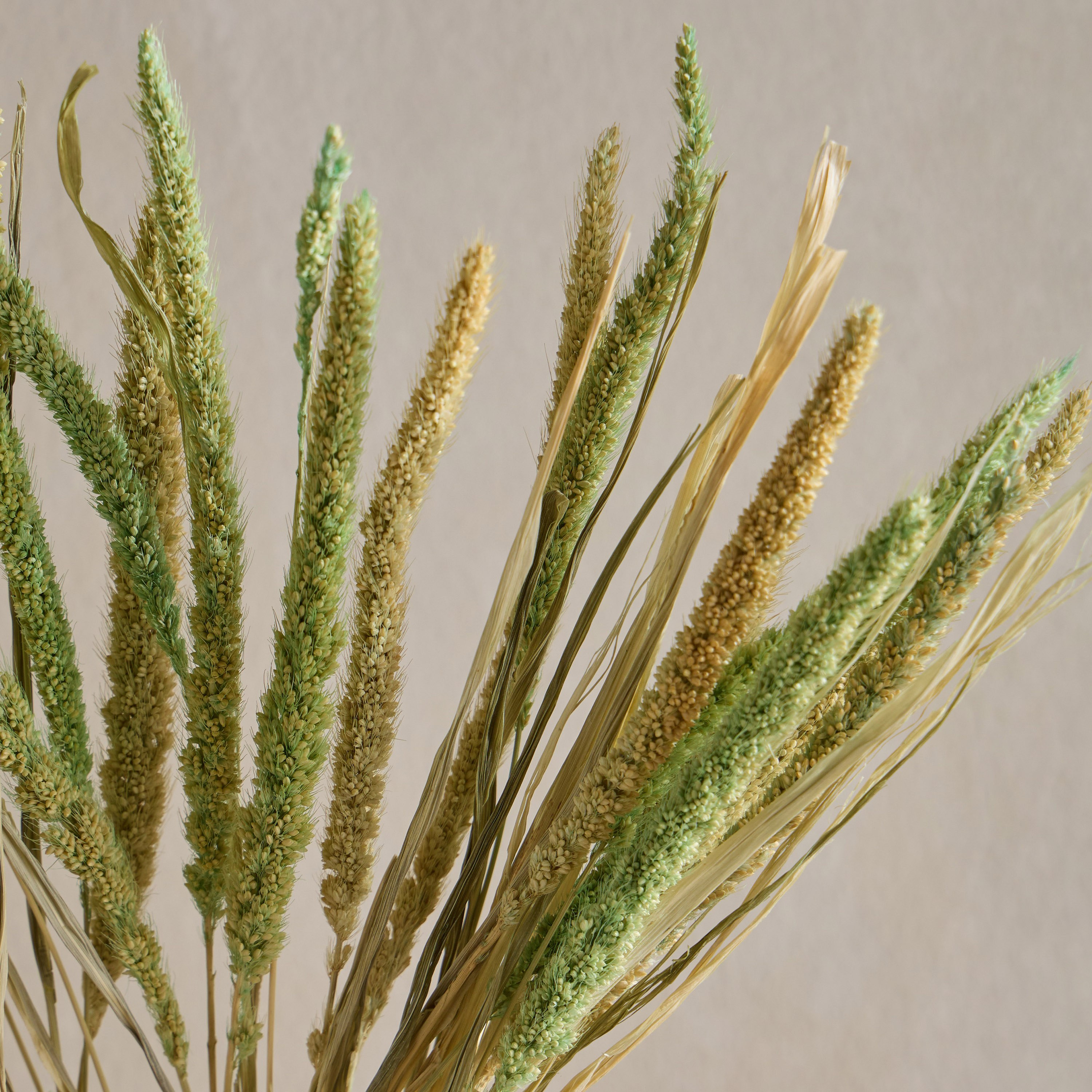 Fox Tail Pampas Decorative Bouquet - 50 cm-household-gardenandoutdoor-artificialflowersandplants-bundlesandbouquets-image-2