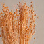 Deco Baby's Breath Bouquet - 50 cm-household-gardenandoutdoor-artificialflowersandplants-bundlesandbouquets-image-2