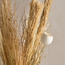 Deco Coin XL Stick - 100 cm-household-gardenandoutdoor-artificialflowersandplants-fillers-image-2