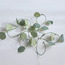 Luminara 60-LED String Light - 180 cm-household-lighting-decorativelighting-stringlights-image-2