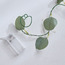 Luminara 60-LED String Light - 180 cm-household-lighting-decorativelighting-stringlights-image-3