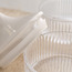 Adeenah Storage Container - 760 ml-household-kitchen-foodstorage-pantryandstorage-image-4