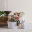 سلة تخزين - بلانكا -  34x25x15 سم-household-storage-storagesolutions-storageboxesandbaskets-image-1