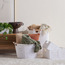 سلة تخزين - بلانكا -  27x19x13 سم-binpromo_BKMS_OMN_191125-image-1