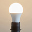 LED Bulb - E27 11W 1155 Lumen Warm White-household-lighting-bulbsandbatteries-bulbs-image-3