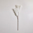Malt Grass Spray - 113 cm-household-gardenandoutdoor-artificialflowersandplants-fillers-image-4