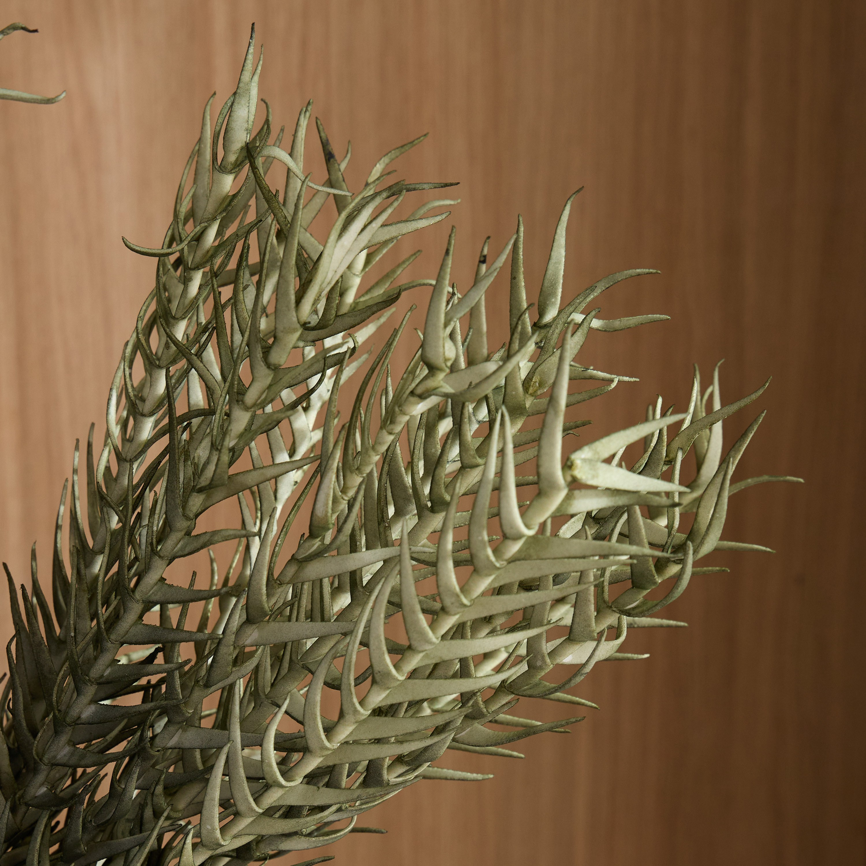 Malt Grass Spray - 113 cm-household-gardenandoutdoor-artificialflowersandplants-fillers-image-2