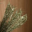 Malt Grass Spray - 113 cm-household-gardenandoutdoor-artificialflowersandplants-fillers-image-2