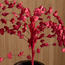 أوراق ديشيديا روسسيفوليا - 124 سم-household-gardenandoutdoor-artificialflowersandplants-fillers-image-2