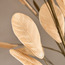 Eucalyptus Spray - 122 cm-household-gardenandoutdoor-artificialflowersandplants-fillers-image-2