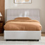 Elm Single Bed - 120x200 cm-furniture-bedroom-beds-singlebeds-image-2