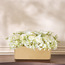 Gild Aurelio Plant in Pot - 32 cm-household-gardenandoutdoor-artificialflowersandplants-flowers-image-1