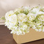 Gild Aurelio Plant in Pot - 32 cm-household-gardenandoutdoor-artificialflowersandplants-flowers-image-3