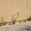 تعريشة معدنية - زيستي - 135 سم-household-gardenandoutdoor-trellisandstands-trellis-image-3
