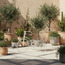 Sequia Metal Planter - 31 cm-binpromo_KSA_SNB_15092026-image-4