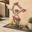 تعريشة حديقة معدنية فردية - زيستي-household-gardenandoutdoor-trellisandstands-trellis-image-1