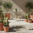 Hazel Metal Planter Stand - 65 cm-household-gardenandoutdoor-trellisandstands-plantstands-image-4