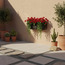 Sequia Metal Planter - 28 cm-household-gardenandoutdoor-potsandplanters-hangingplanters-image-4
