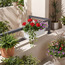 حامل نباتات معلّقة معدنية - سيكويا - 28 سم-household-gardenandoutdoor-potsandplanters-hangingplanters-image-1