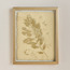 صندوق ظل - فينجلو - 40x50 سم-household-walldecorandmirrors-wallaccents-image-3