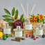 Boutique Peony & Blush Suede Diffuser - 200 ml-household-homefragrance-reeddiffusers-image-4