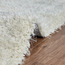 سجادة شاجي مصنوعة يدويًا - سنو - 160x230 سم-household-rugsandcarpets-rugs-image-3