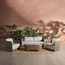 Semi 5-Seater Wicker Outdoor Lounge Set with Table-furniture-outdoor-sofasandchairs-image-1