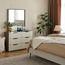 Astro 6-Drawer Dresser with Mirror-furniture-bedroom-dressersandmirrors-image-6