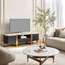 وحدة تلفاز - جوردان-furniture-livingroom-tvandmediaunits-image-2