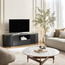 Zanzibar TV Unit-furniture-livingroom-tvandmediaunits-image-8