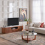 Herald TV Unit-furniture-livingroom-tvandmediaunits-image-8
